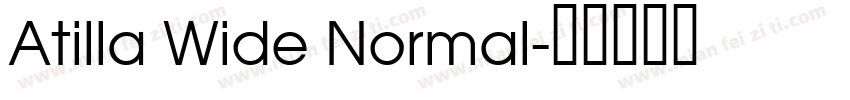 Atilla Wide Normal字体转换